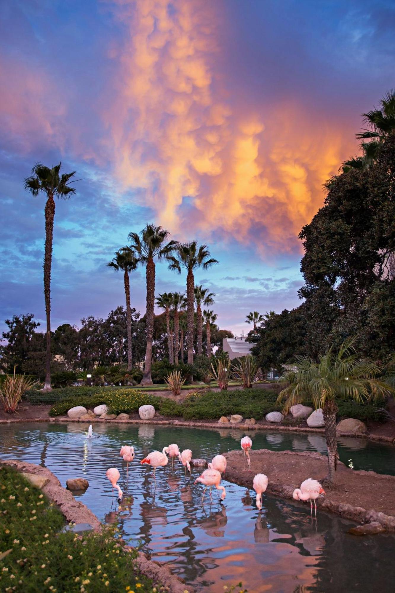 Coronado Island Marriott Resort & Spa San Diego Exterior photo